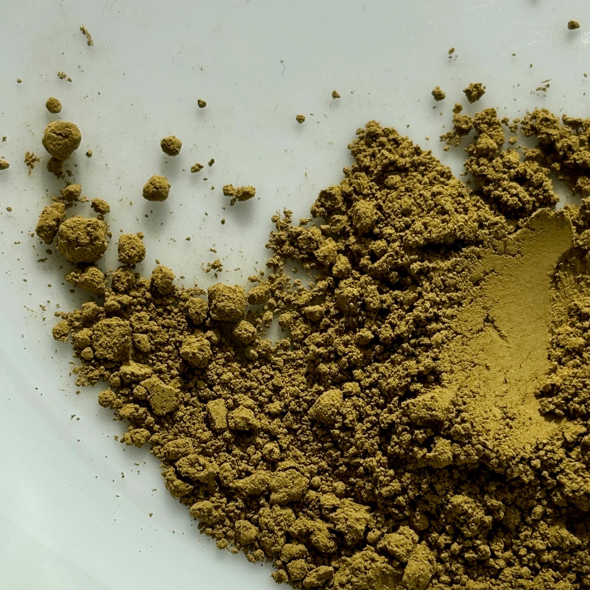 Matcha - Hojicha - Roasted + 10g bonus
